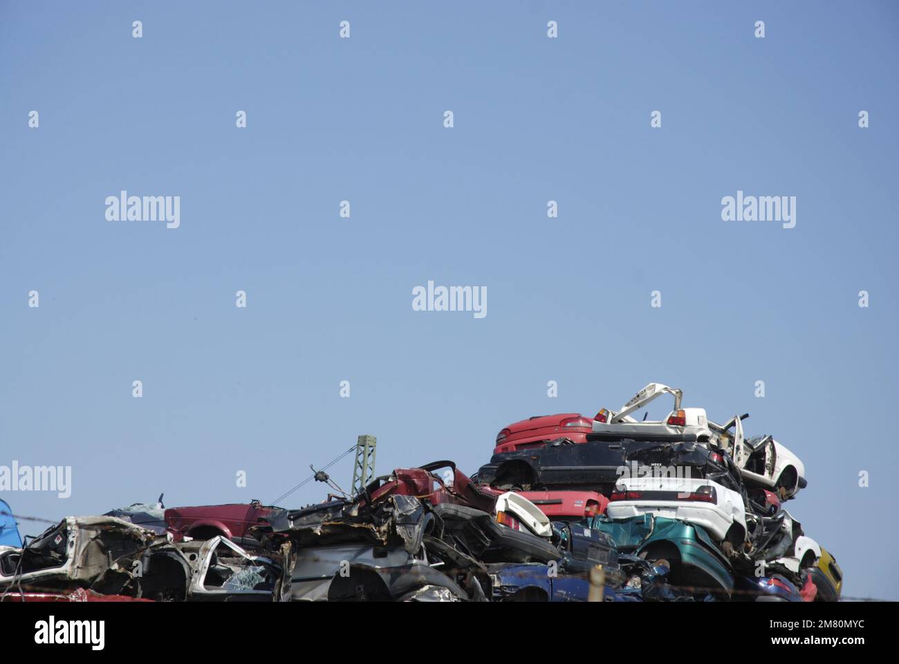 Trockener Schilf bläst im Wind unter blauem Himmel, Stockfoto