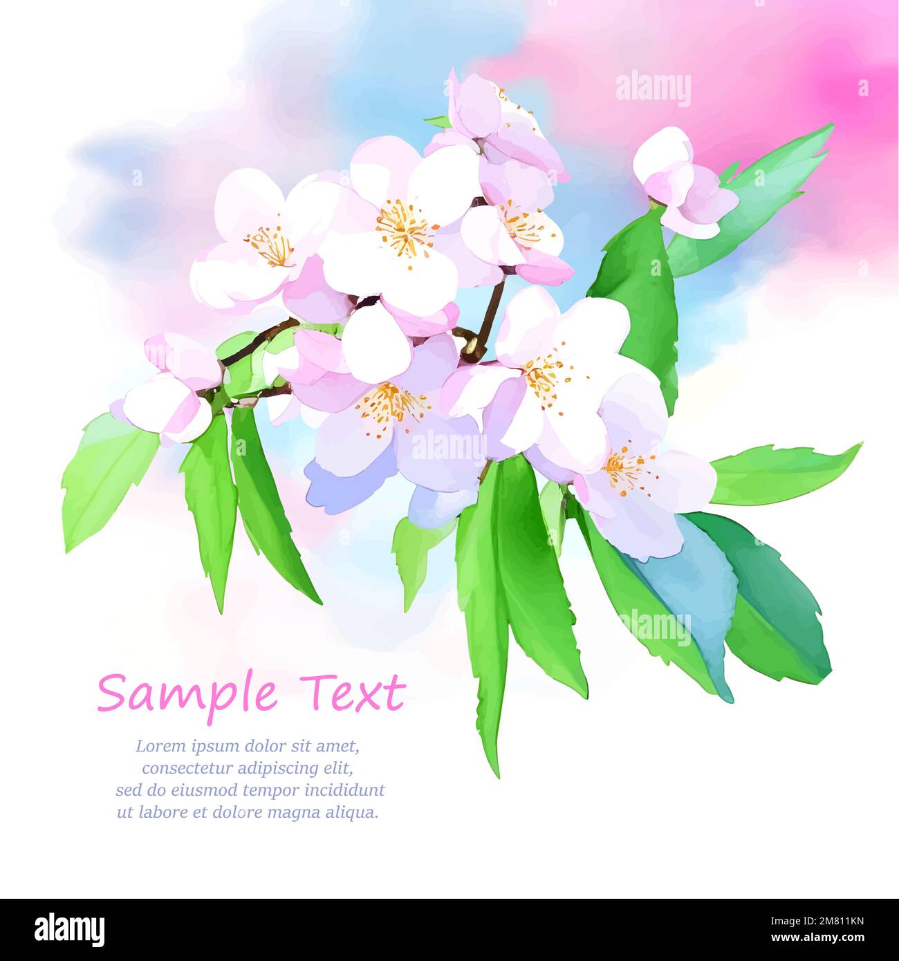 Vektorschmuck mit Blumen, Frühlingskirschblüte auf weißem Hintergrund. Platz für Ihre SMS. Design für Einladung, Karte, Poster, Flyer, Labor Stock Vektor