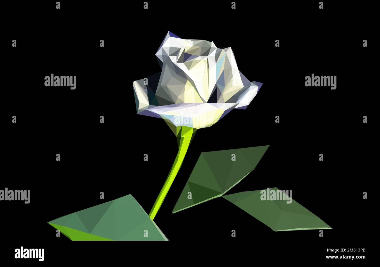 Weiße Vektorrose mit niedriger Poly-Rose, isoliert auf schwarzem Cover, Leidenschaft Clip Art, geometrische, polygonale Schönheitspflanze Stock Vektor