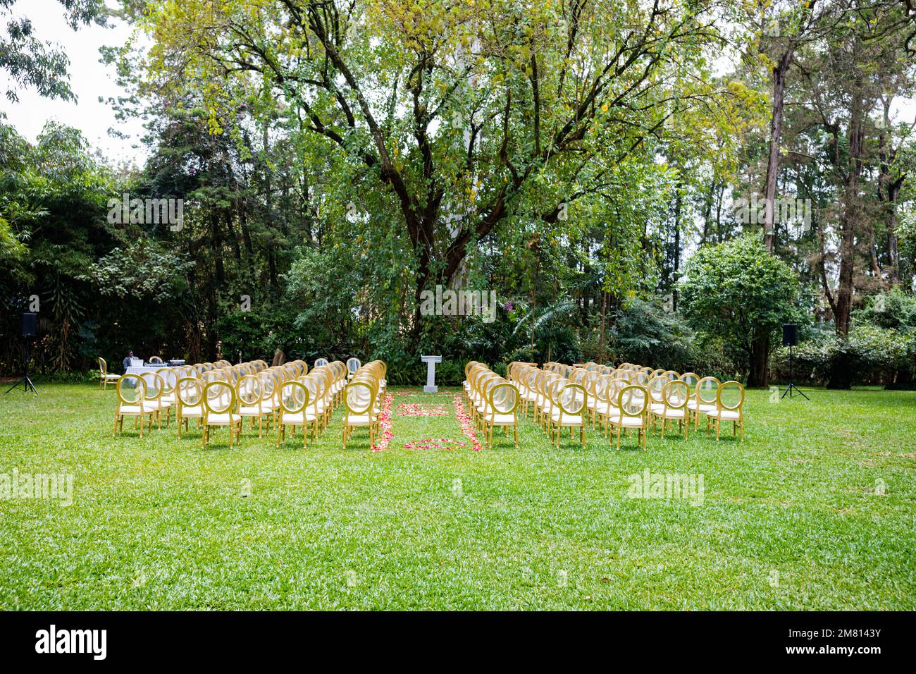 Kenia Hochzeit Bilder Einrichtung Rigs Zubehör Details Essen Hochzeitskleid Kleider Paar Braut Ringe Schuhe draußen drinnen wild Bushepic Stockfoto