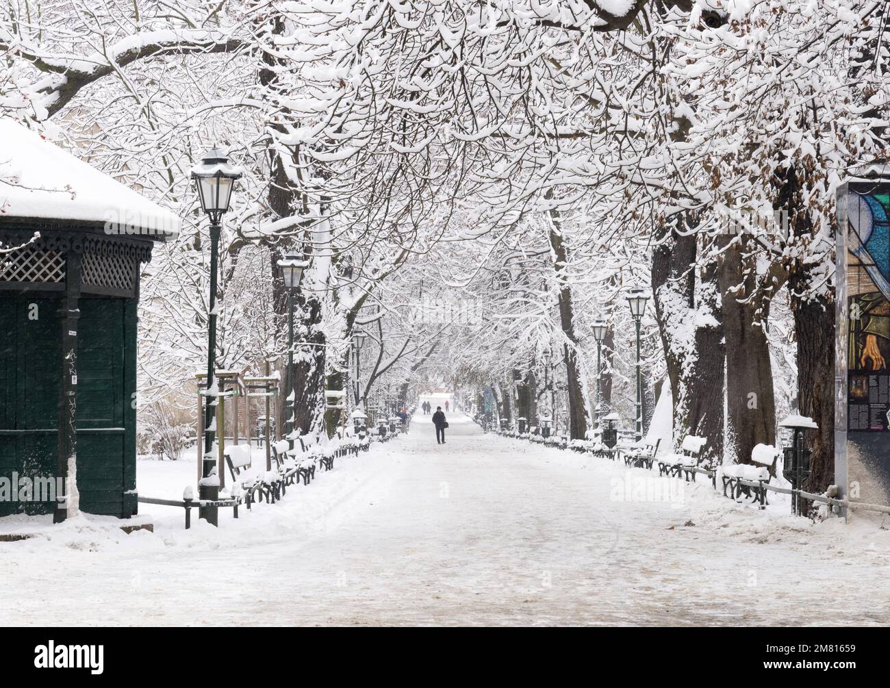 Winterszene; eine Person geht in der Ferne entlang eines Pfads im Winter, Schnee und Bäume; Planty, Park Area in der Krakauer Altstadt, Krakau Polen Europa Stockfoto