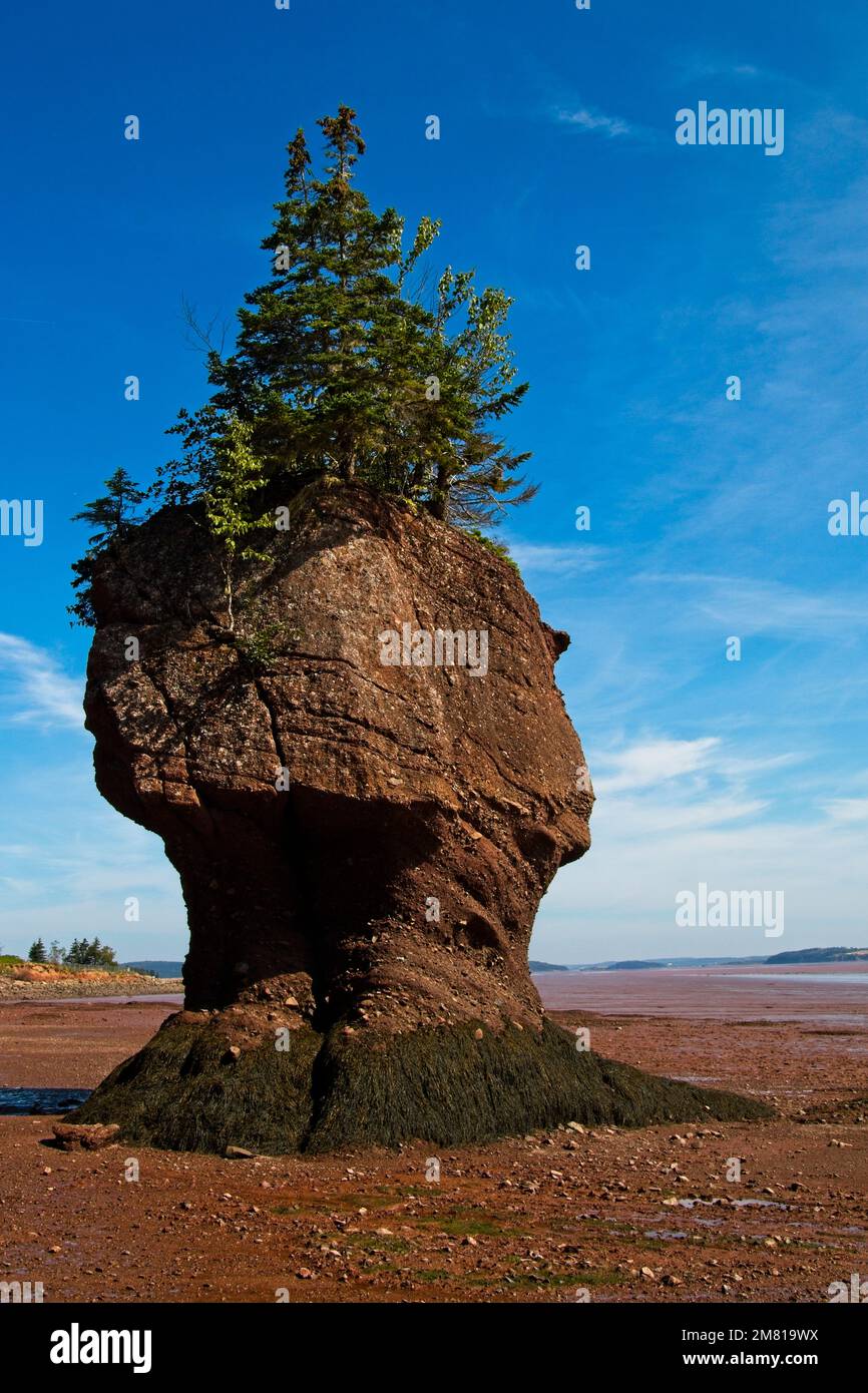 Eine ozeanische Formation entlang der Bay of fundy Küste bei Hopewell Rocks, New Brunswick. Stockfoto