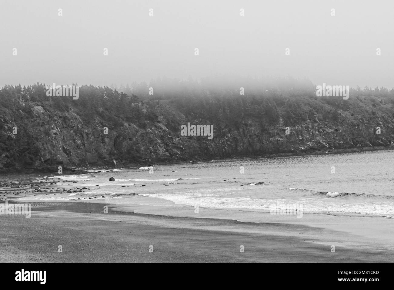 Ein Schwarzweißbild von Cape St. Mary's Beach, Neuschottland. Stockfoto