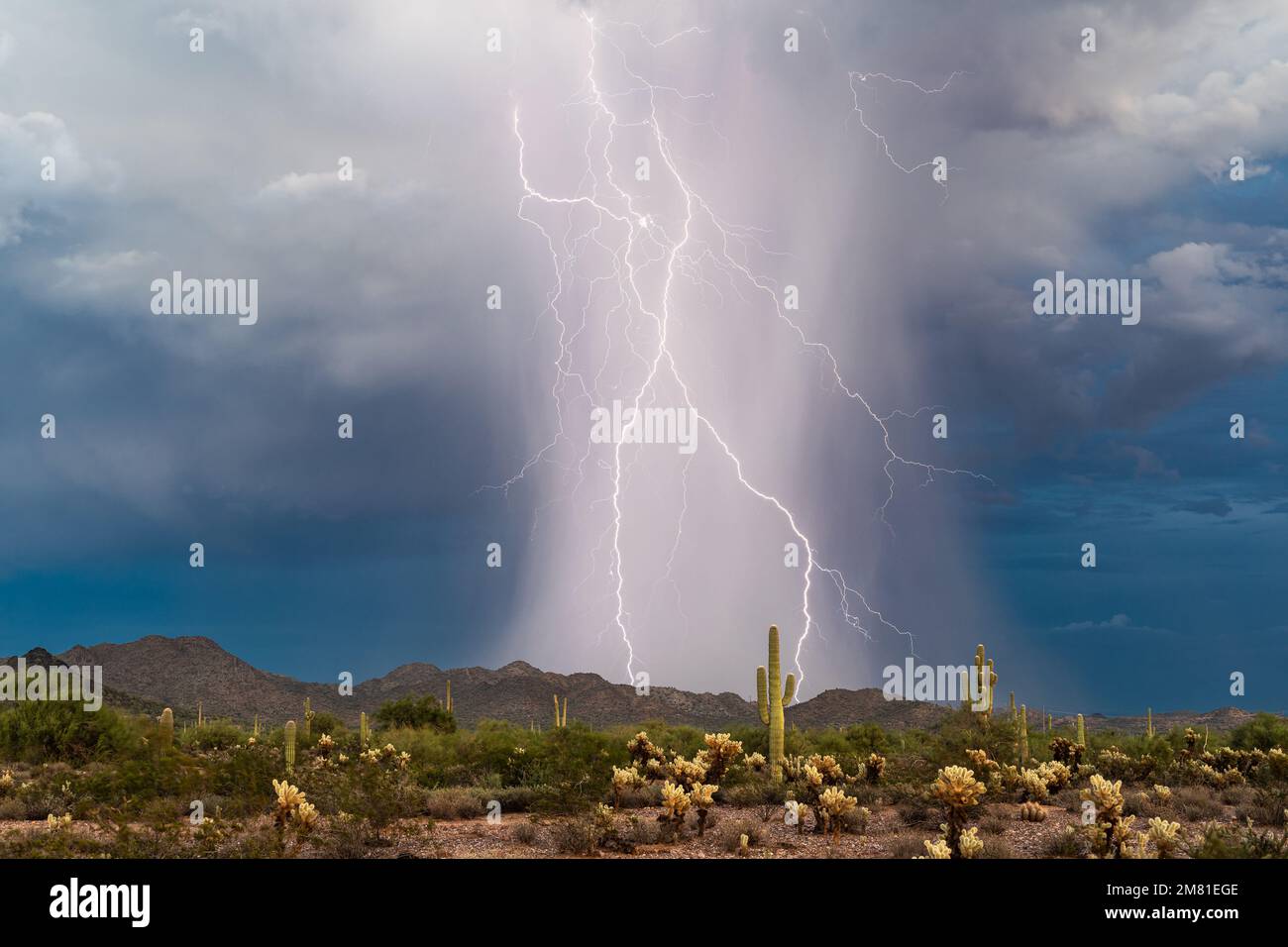 Monsunsturm mit starkem Regen und Blitzen in der Wüste von Arizona Stockfoto