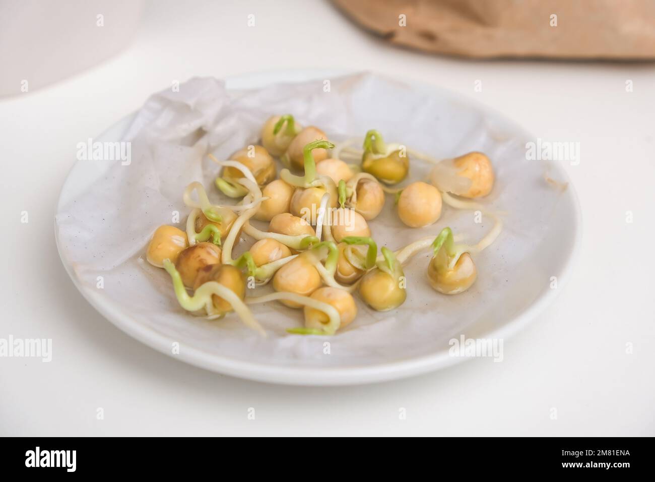 PEA-Sprossen in einer weißen Untertasse. Anbauen von Mikrogrüns zu Hause. Erbsen zu Hause anbauen. Erbsen in einer Wohnung anbauen. Stockfoto