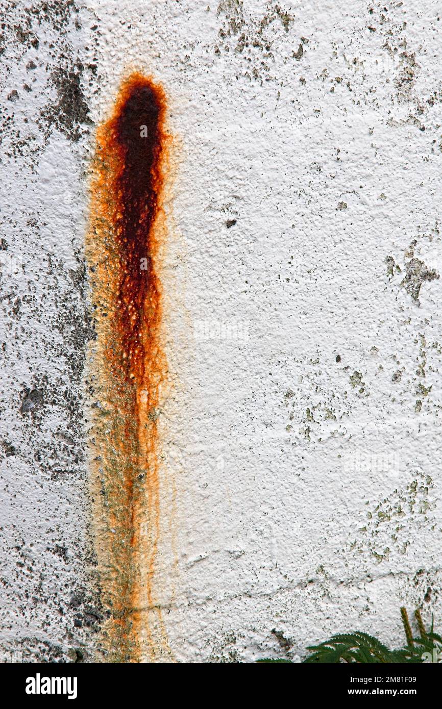 Rostig und verkrustet auf der zarten weißen Farbe des Brier Island Lighthouse. Stockfoto