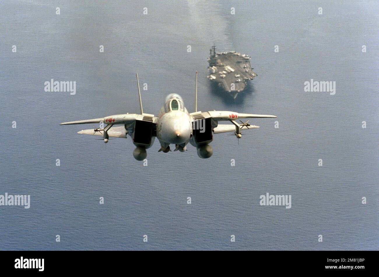 Vorderansicht eines F-14A Tomcat-Flugzeugs aus dem Kampfgeschwader 102 (VF-102), kurz nach dem Abflug vom Flugzeugträger USS AMERICA (CV-66). Das Flugzeug ist mit zwei AIM-54-Phoenix-Raketen, Mittellinie, zwei AIM-7-Sparrow- und zwei AIM-9-Sidewinder-Raketen (außen) ausgerüstet, die auf Flügelpylonen montiert sind. Land: Indischer Ozean (IOC) Stockfoto