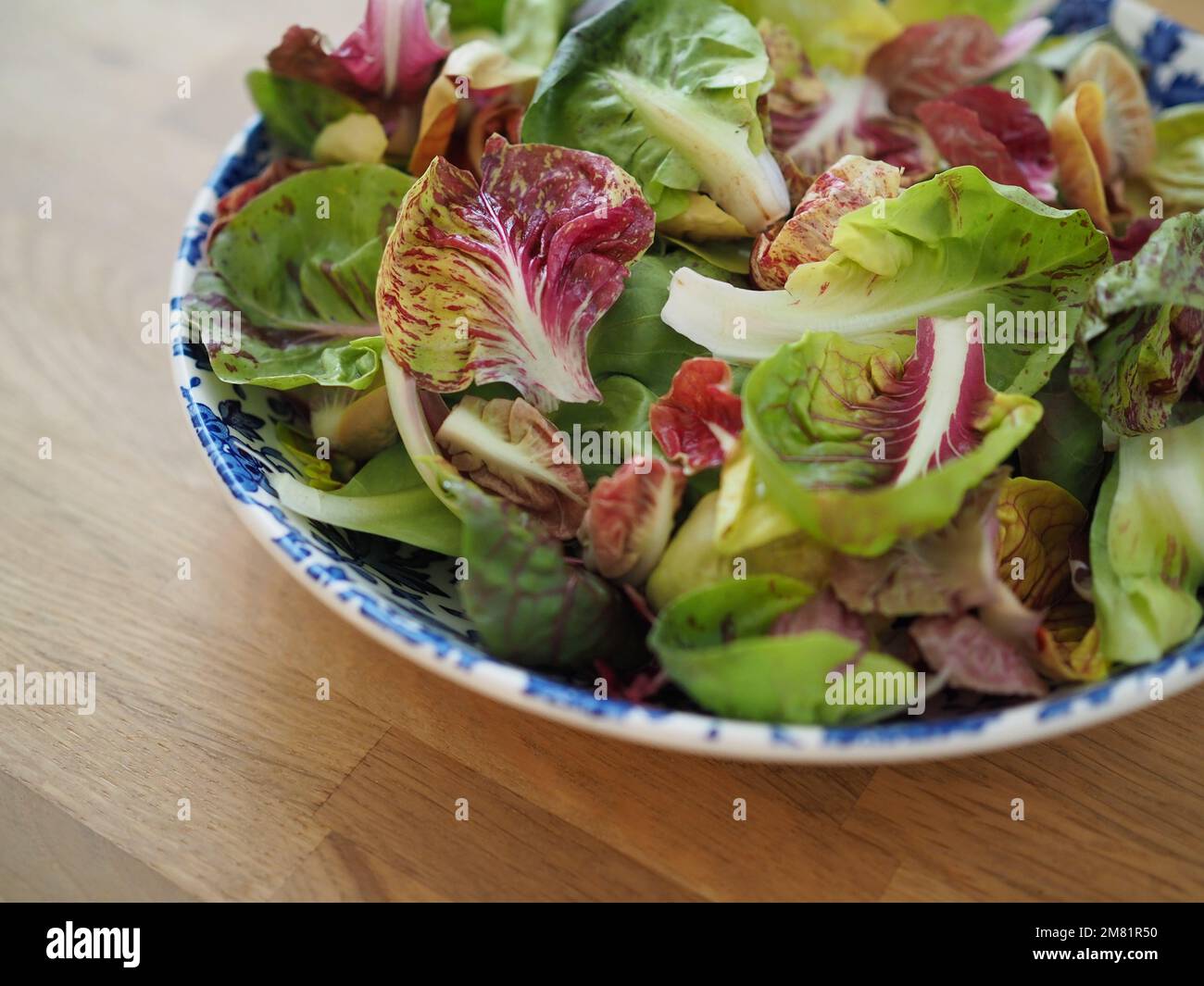 Nahaufnahme eines bunten Radicchio-Blattsalats Stockfoto