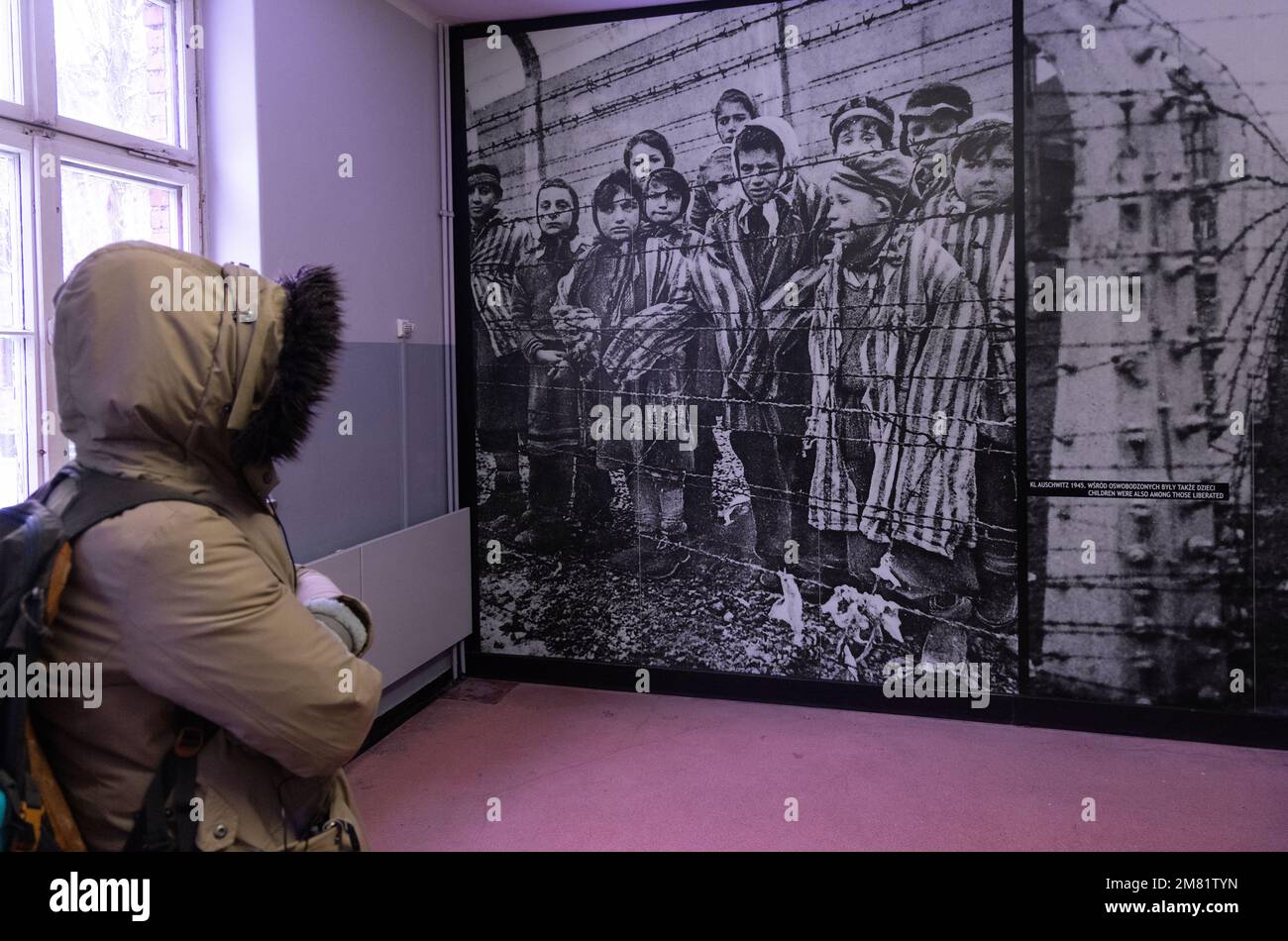 Auschwitz Museum - Besucher, die Originalfotos von Gefangenen aus dem Zweiten Weltkrieg betrachten, die im Konzentrationslager Auschwitz-Birkenau in Oswiecim, Polen, aufgenommen wurden Stockfoto