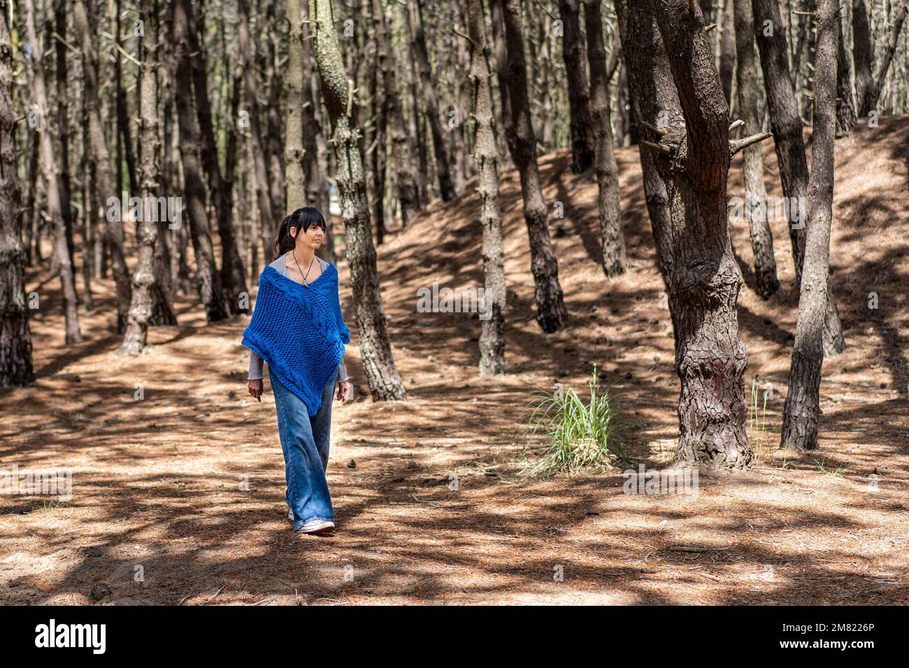 Eine Frau, die im Wald spaziert. Stockfoto