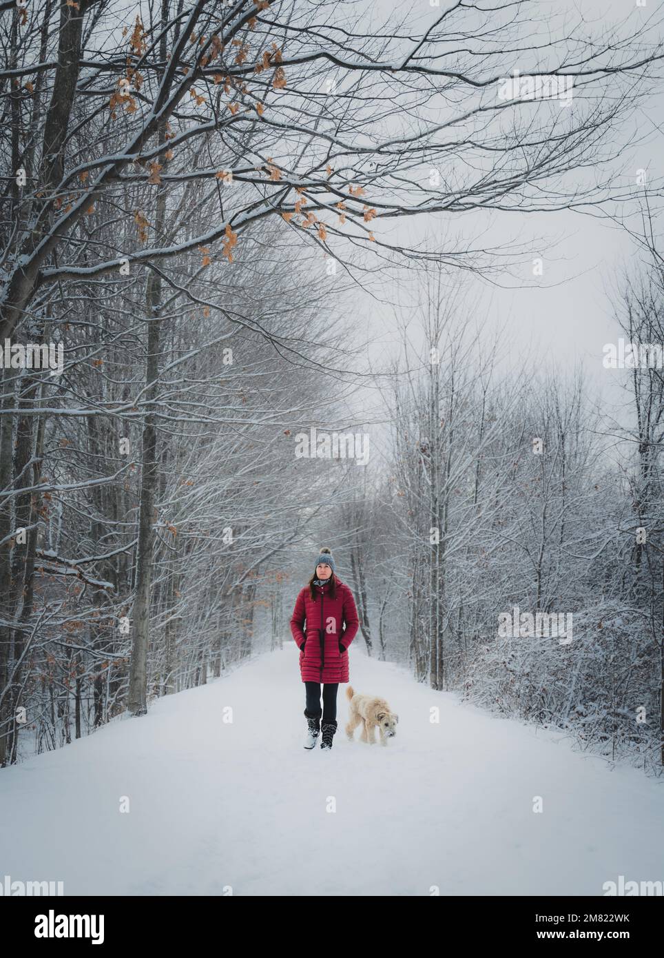 Eine Frau in rotem Mantel, die im Winter mit einem Hund auf einem schneebedeckten Waldweg spaziert. Stockfoto