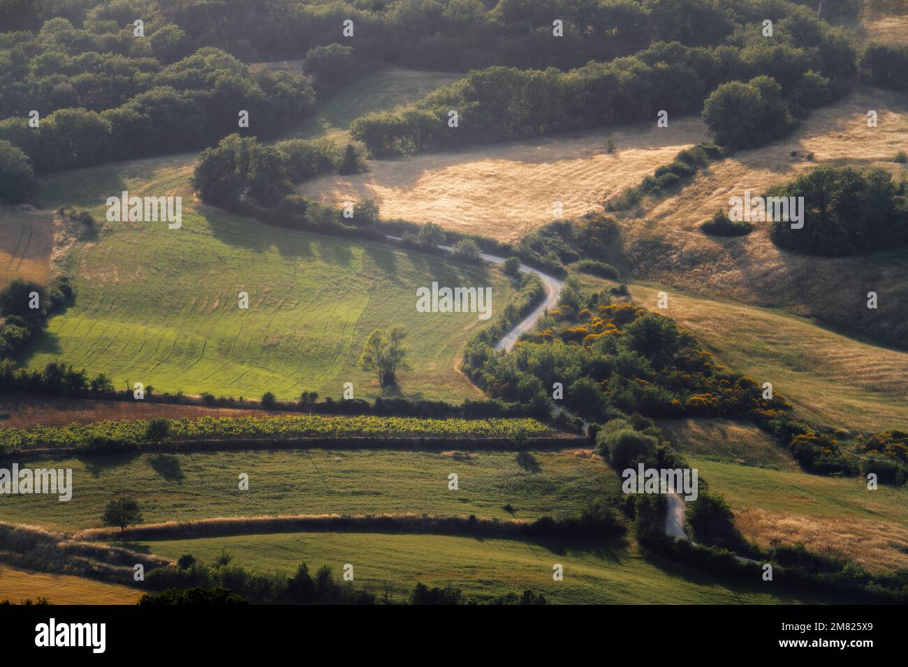 Rolling Hills in der Toskana, Italien, aufgenommen im Mai 2022 Stockfoto