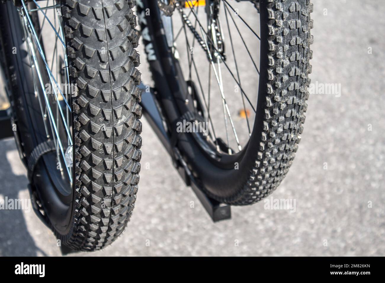 Nahaufnahme von zwei Mountainbike-Reifen auf grauem Hintergrund. Gemeinsam reisen. Fahrradtour in einem Park Stockfoto