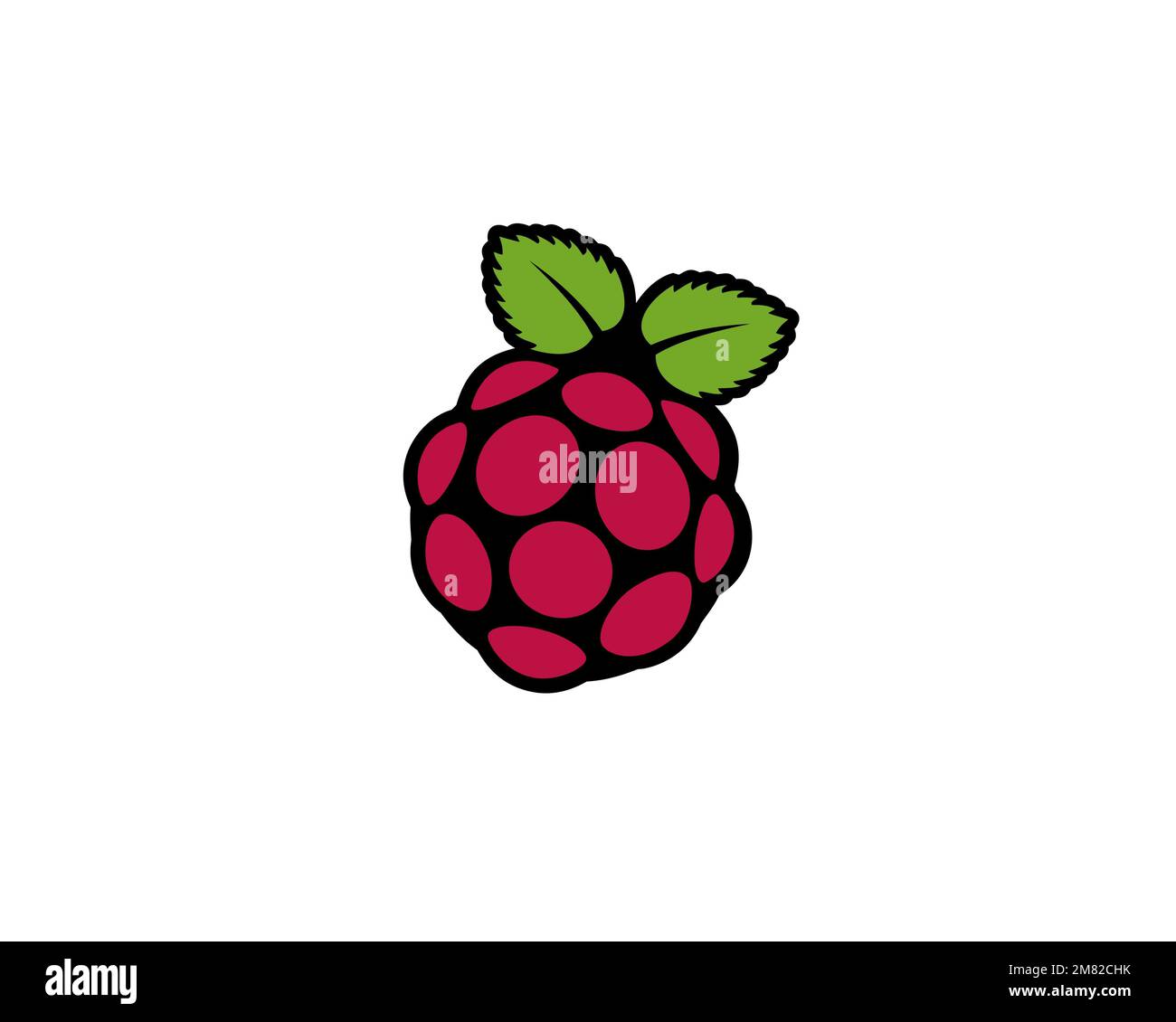 Raspberry Pi, gedrehtes Logo, weißer Hintergrund B Stockfoto