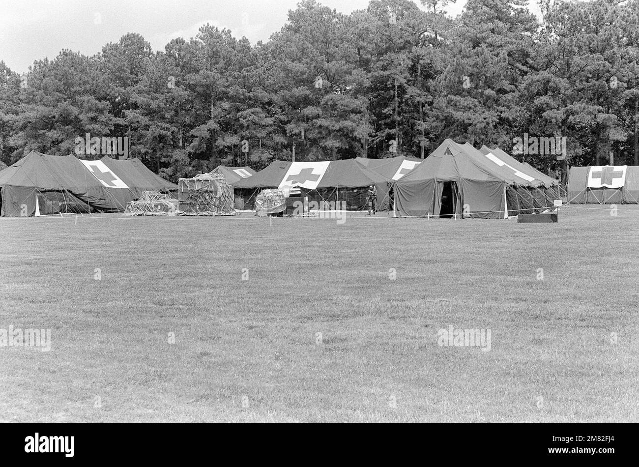 DF-SN-85-11694. Basis: Luftwaffenstützpunkt Seymour Johnson Bundesstaat: North Carolina (NC) Land: Vereinigte Staaten von Amerika (USA) Stockfoto