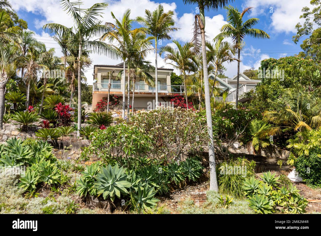 Großes abgetrenntes Sydney Haus in Bayview, tropischer üppiger grüner Garten mit Palmen, Frangipani und Agaven, NSW, Australien im Sommer 2023 Stockfoto