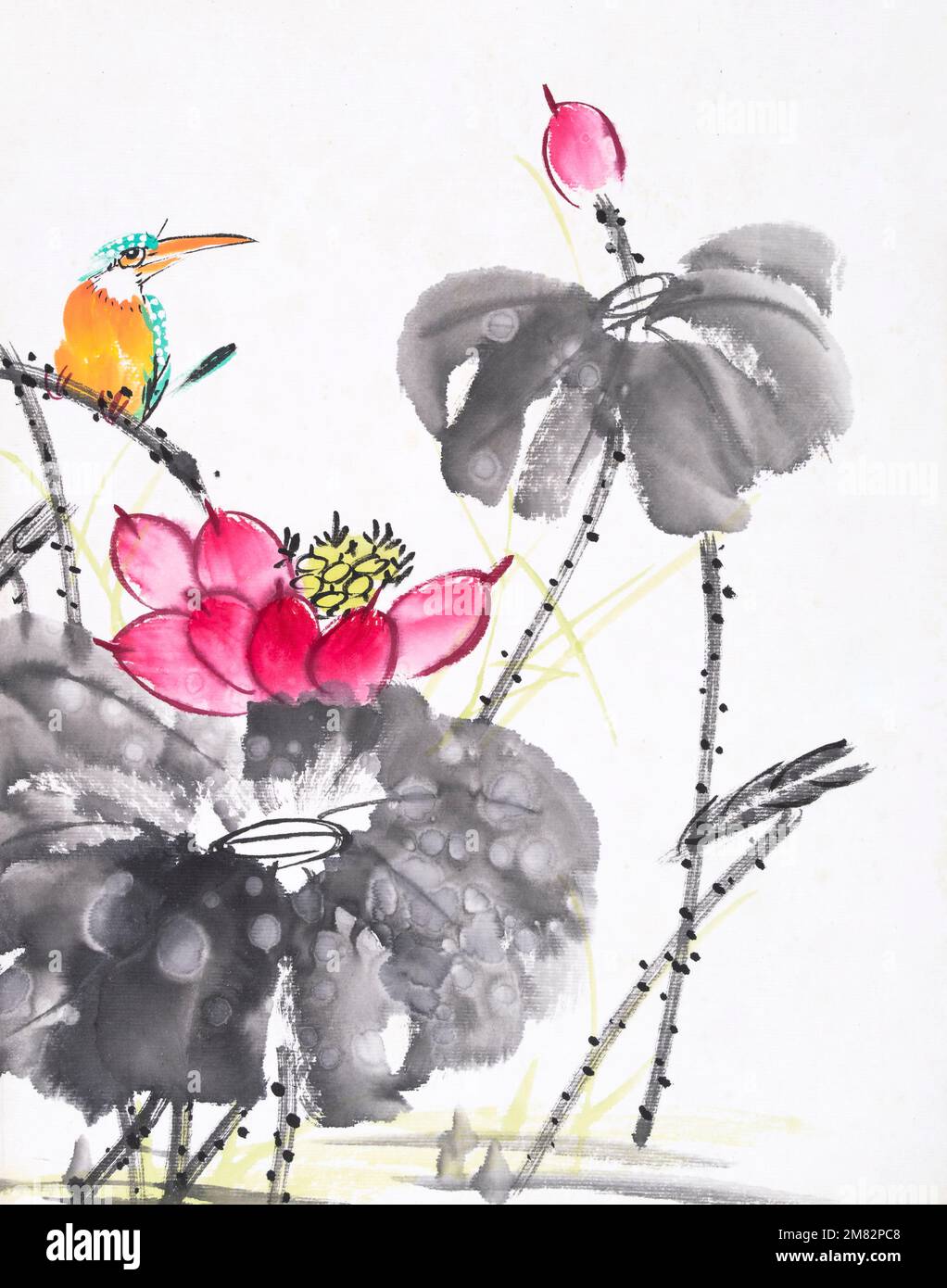 kingfisher und Lotus Blume Aquarell Gemälde Stockfoto