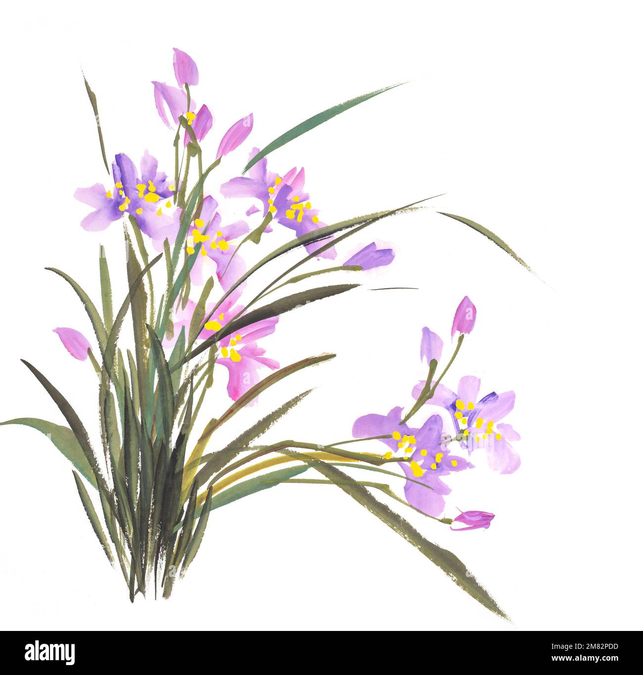 Traditionelles chinesisches Tintengemälde der Orchidee Stockfoto