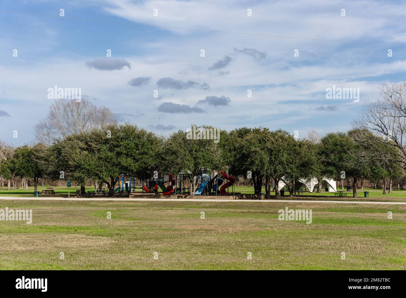 parklandschaft mit Baum und blauem Hintergrund Stockfoto