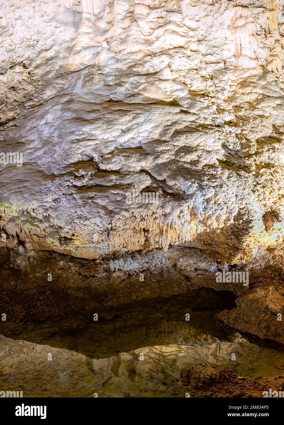 Höhlenformationen im Cave Pool, Carlsbad Caverns National Park, New Mexico, USA Stockfoto