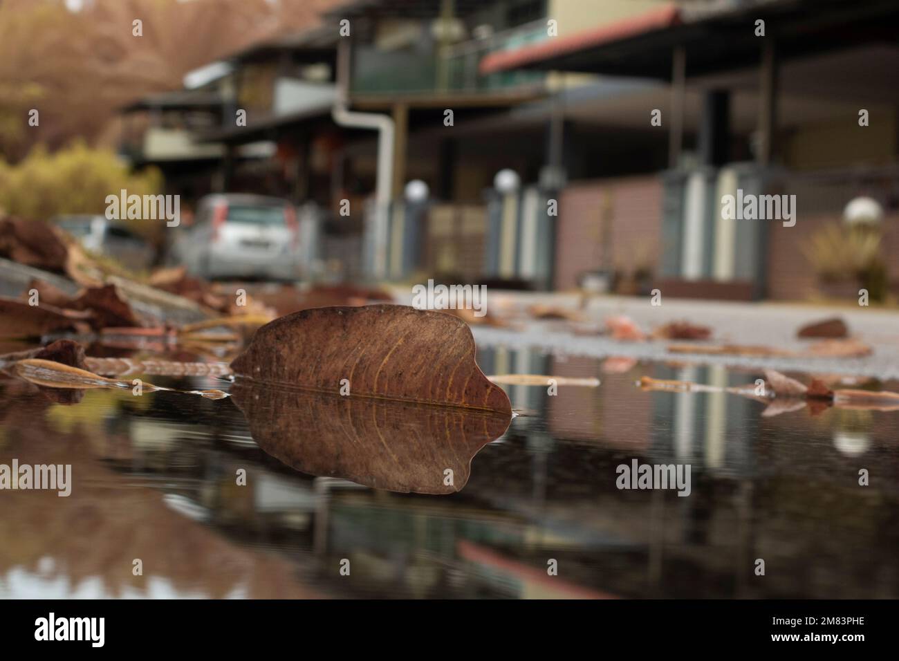 Stagnierende Wasserszene nach Regen in der vorstädtischen Asphaltstraße Stockfoto