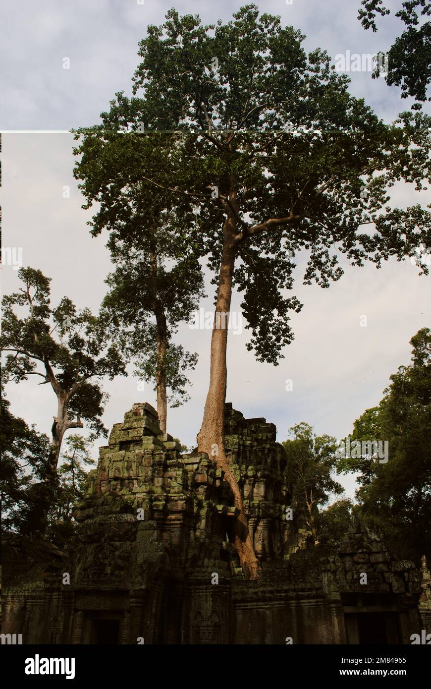 Details zum Angkor Wat Tempel Kambodscha 2013 Stockfoto