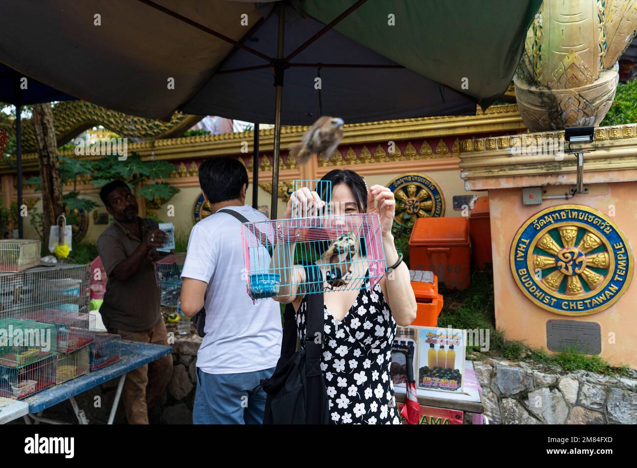 Kuala Lumpur, Malaysia - Dezember 2022 - Thailändischer Tempel Wat Chetawan, Menschen, die Vögel aus Käfigen für Viel Glück. befreien Stockfoto
