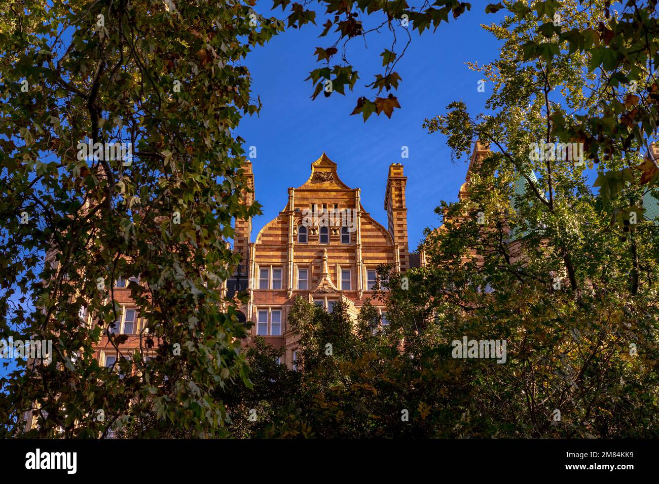 Ein Waldgebäude in St. James' Park Stockfoto