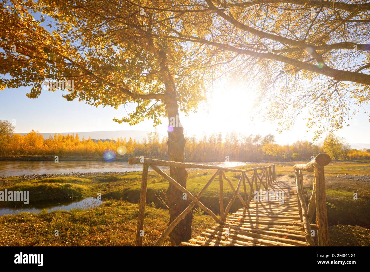 Wunderschöner Wald und kleiner Fluss im Herbst für Hintergrundinformationen und Inspirationen im Georgia Country am Kaukasus Mountain 2022 Stockfoto