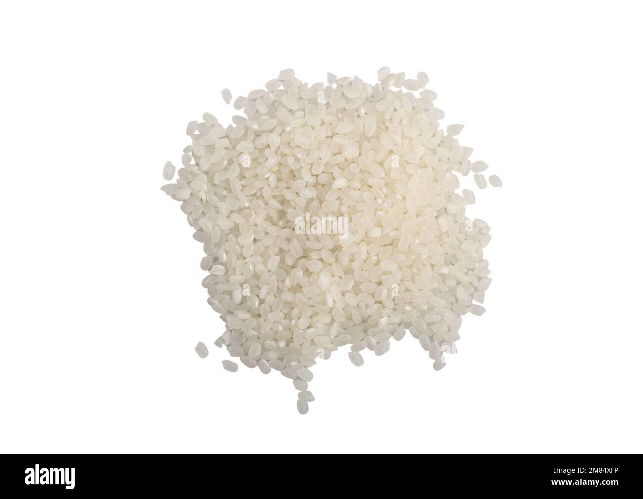 Rohe japanische Reiskörner, Japonica-Reiskörner. Stockfoto