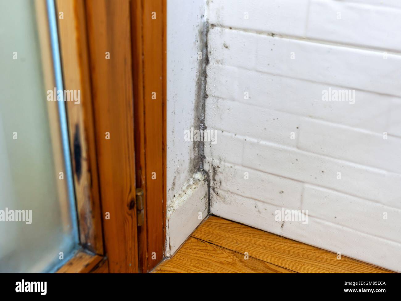 Kondensationsguss in einer Ecke der Wand in der Nähe des Fensterrahmens. Stockfoto