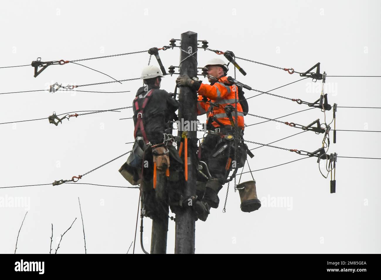 Bridport, Dorset, Großbritannien. 12. Januar 2023 Wetter in Großbritannien. WESTERN Power-Arbeiter, die an einem nassen und windigen Tag einen neuen Telegrafenmast in Bridport in Dorset installieren, werden von dem starken Regen durchnässt. Bildnachweis: Graham Hunt/Alamy Live News Stockfoto