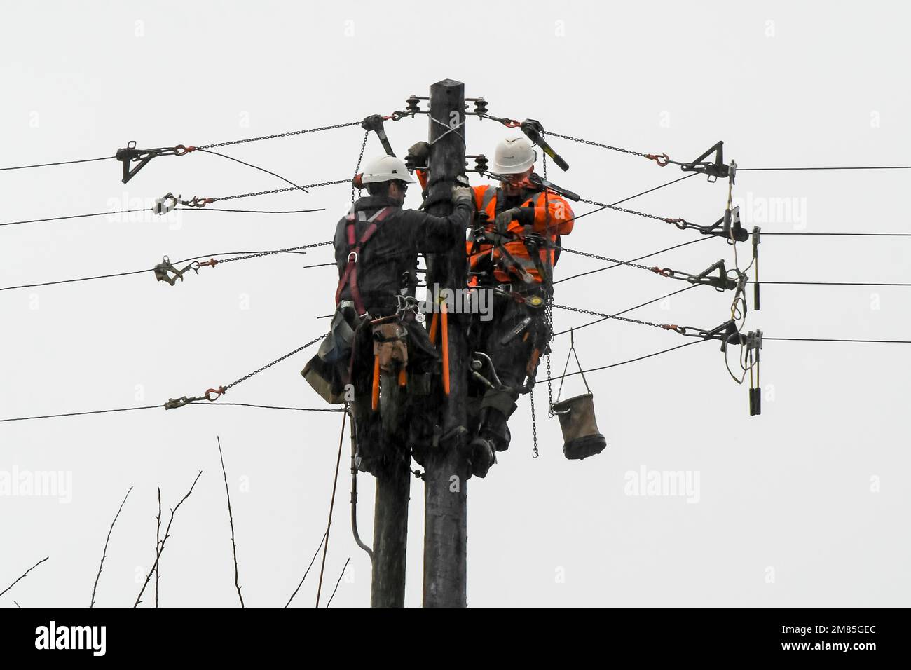 Bridport, Dorset, Großbritannien. 12. Januar 2023 Wetter in Großbritannien. WESTERN Power-Arbeiter, die an einem nassen und windigen Tag einen neuen Telegrafenmast in Bridport in Dorset installieren, werden von dem starken Regen durchnässt. Bildnachweis: Graham Hunt/Alamy Live News Stockfoto