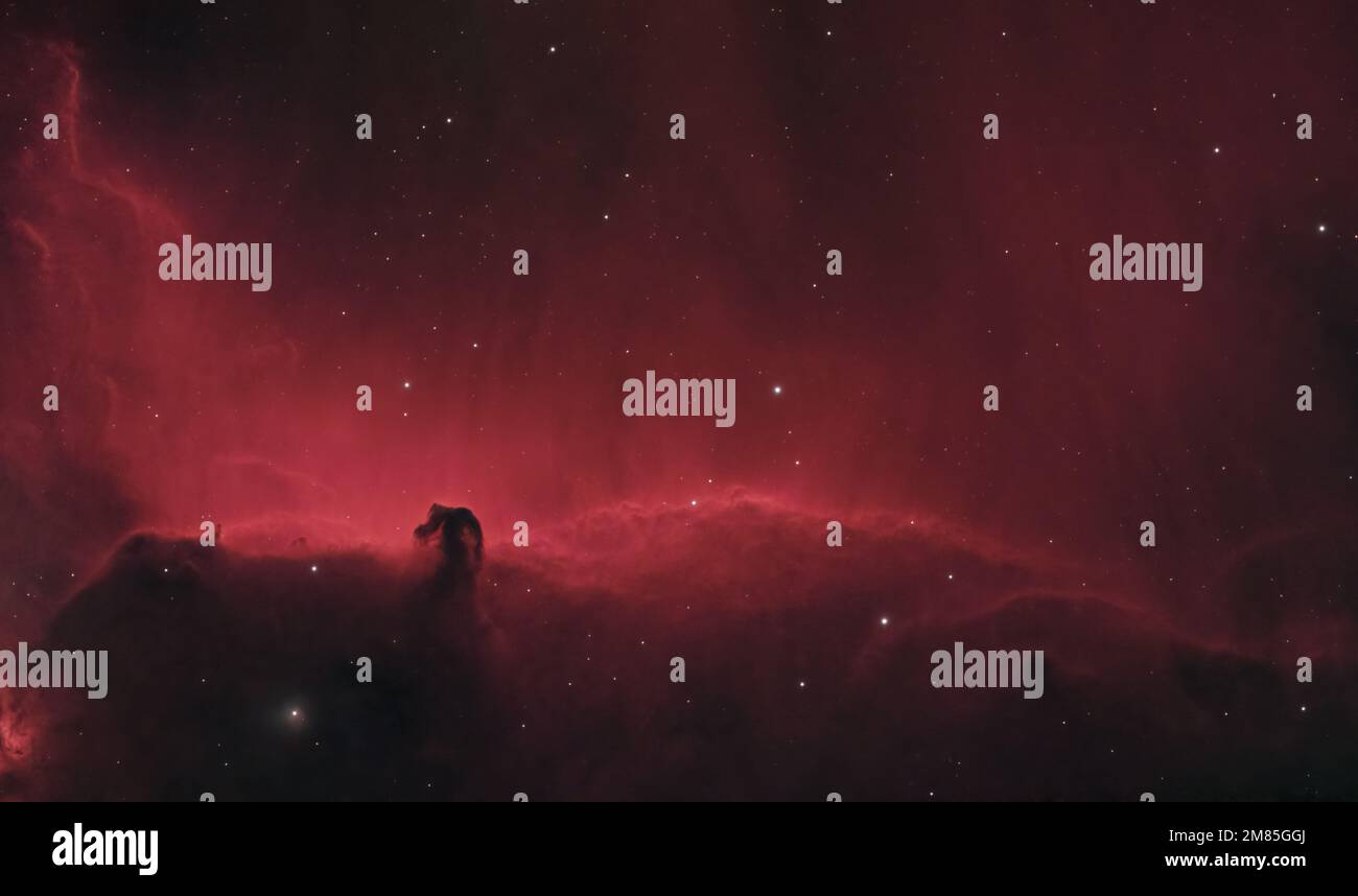 Horsehead Nebula (Barnard 33) im Sternbild Orion, fotografiert in HaRGB aus Großbritannien Stockfoto