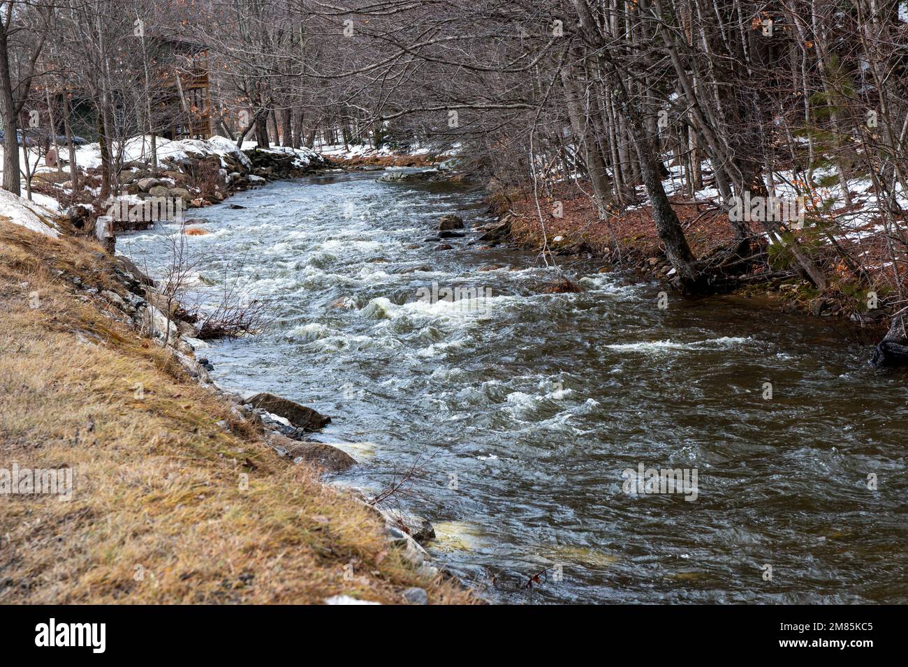 Die Schneeschmelze in der Frühsaison in Vermont im Januar 2023 ließ die Bäche wie Anfang April aussehen. Stockfoto