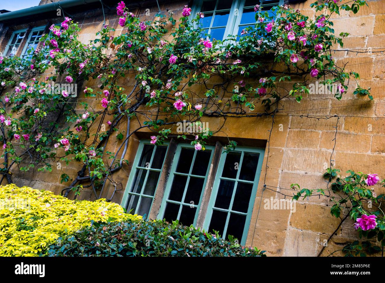 Honigfarbenes Steinhaus im Cotswold Village von Stanton, England. Stockfoto