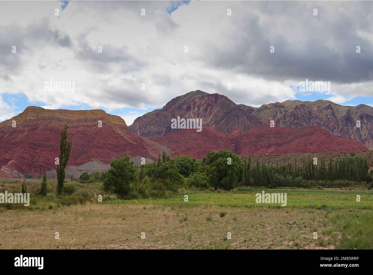 Der farbenfrohe Berg Pollera Coya in der Provinz Jujuy, Argentinien Stockfoto