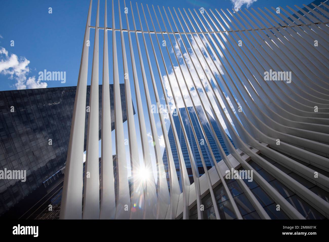 Außenansicht des World Trade Center Transportation Hub 'Oculus' in Manhattan, New York City, USA Stockfoto