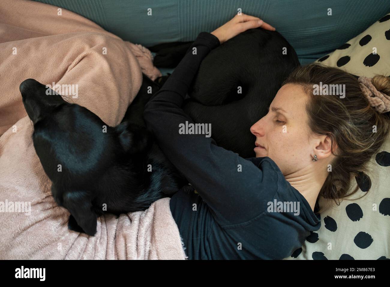 Eine an einer Grippe erkrankte junge Frau liegt auf einer Couch mit ihrem schwarzen labrador Retriever-Hund, der neben ihr kuschelt. Stockfoto