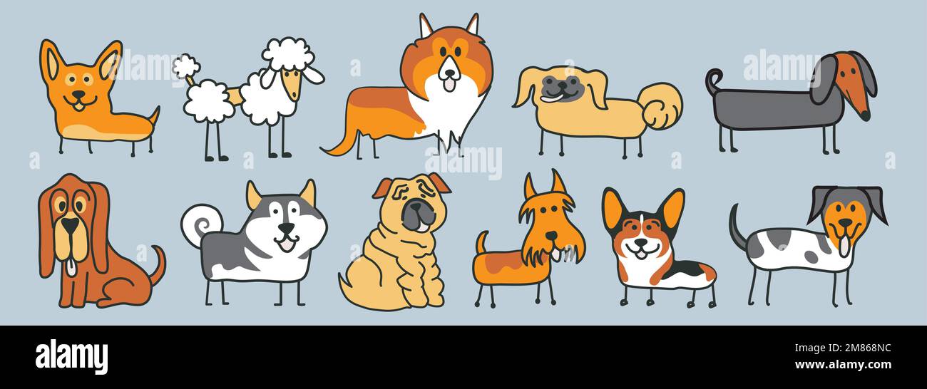 Muster von vielen verschiedenen Hundearten, Fuchsterrier, Mastiff, Shar pei, chihuahua, spitz: laika, Husky, Collie, schottischer Hirte, Dackel Stock Vektor
