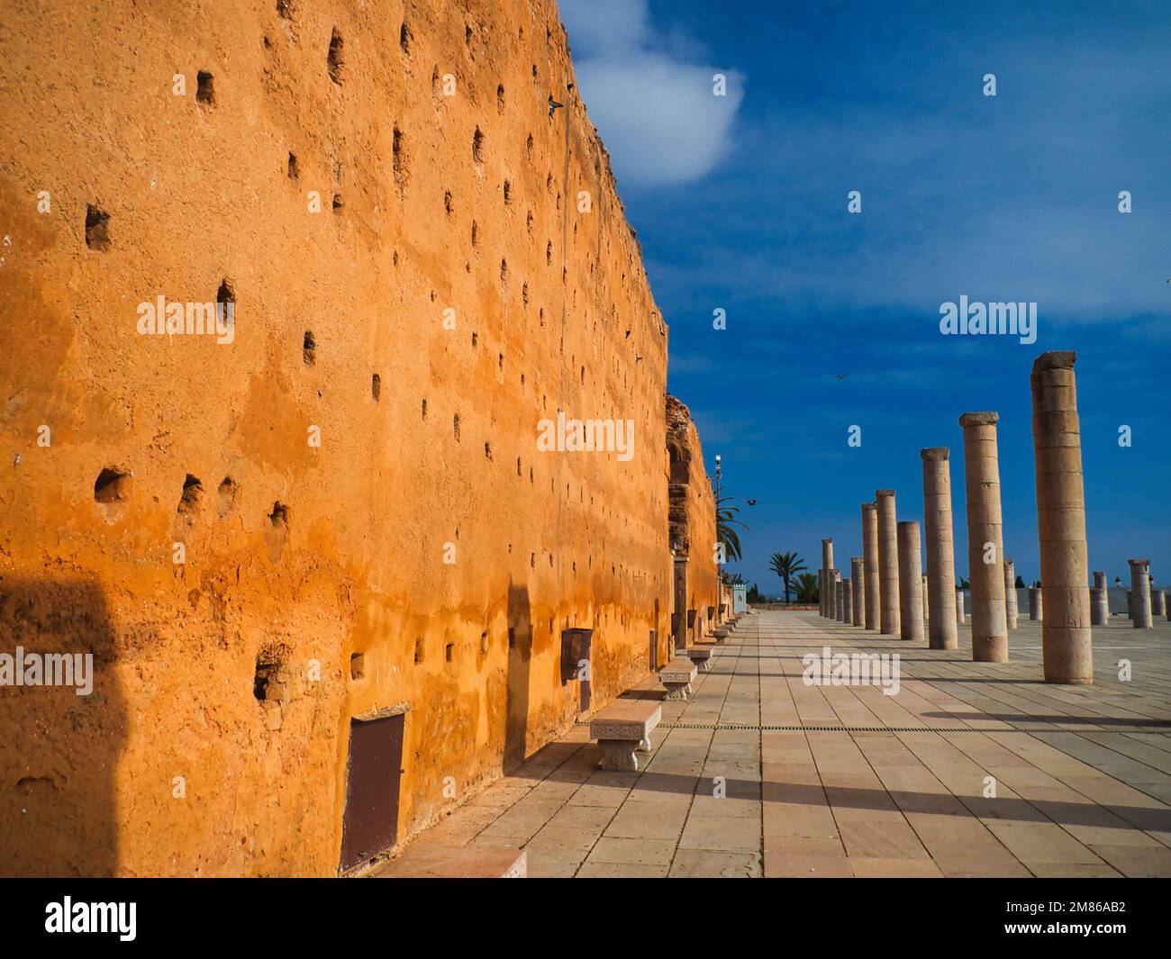 Die riesige Mauer und zahlreiche Säulen der unvollendeten Moschee, Hassan Tower, Rabat, Marokko Stockfoto