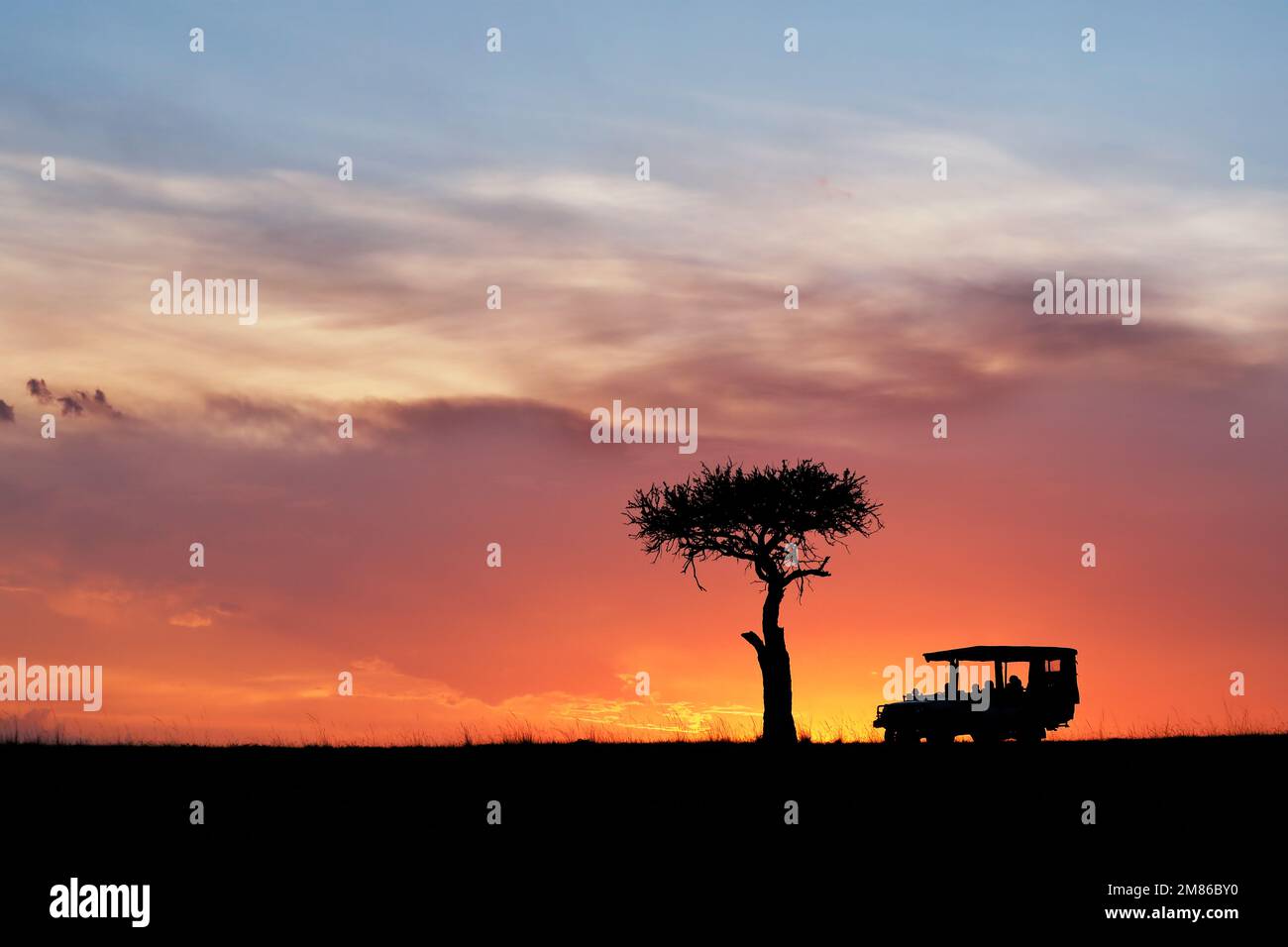 Safari-Fahrzeug bei Sonnenuntergang, Zeit für einen Sonnenuntergang - einzigartige Atmosphäre zum Abschluss des Tages auf Safari - Kenia, Masai Mara, Olare Motorogi Conservancy Stockfoto