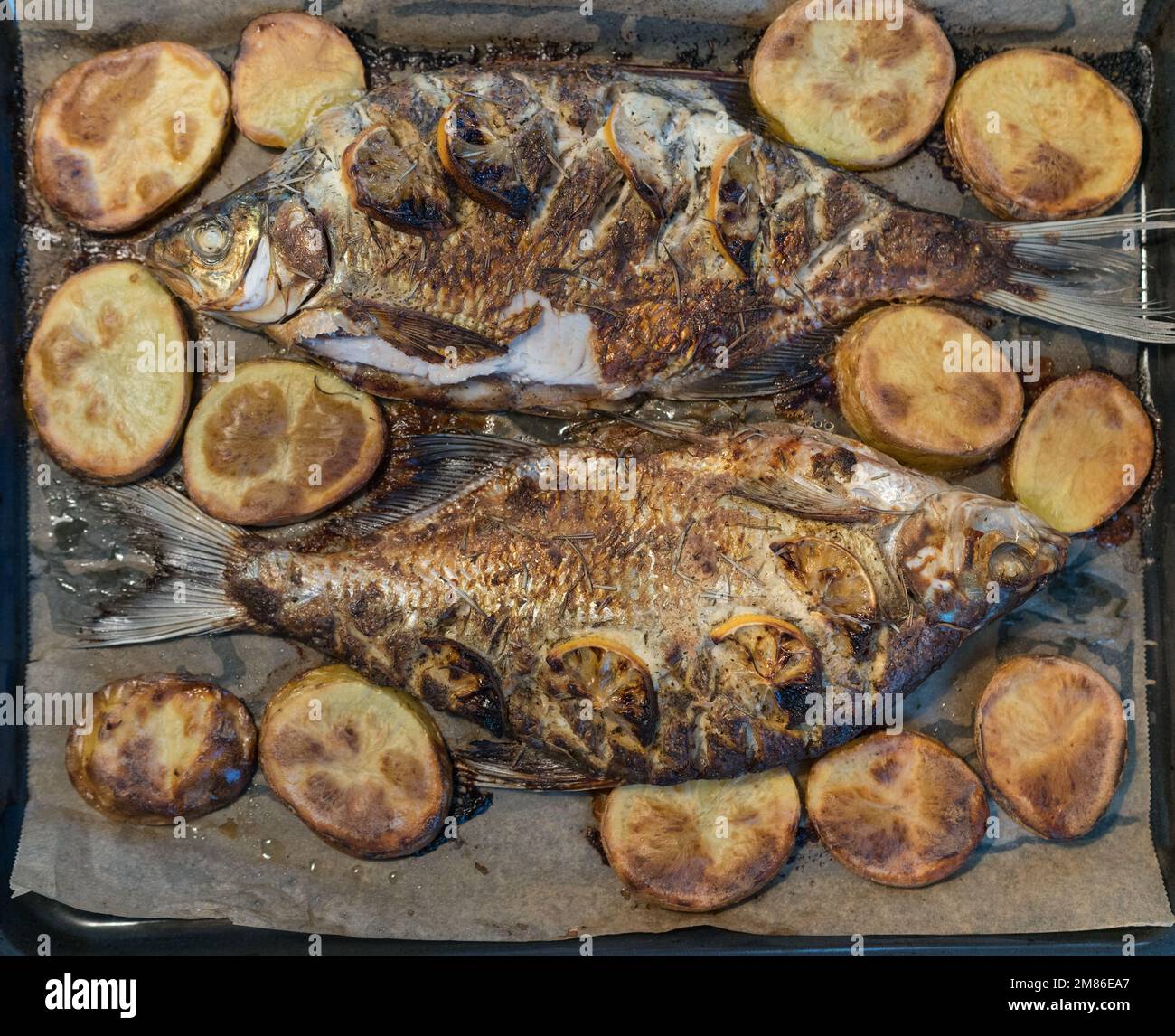 Frisch gebackene Süßwasserbrassen Fisch gekocht mit frischem Rosmarin und Arten mit geschnittenen Zitronen Früchte und serviert mit Kartoffeln auf der Kochplatte Pfanne. Tas Stockfoto