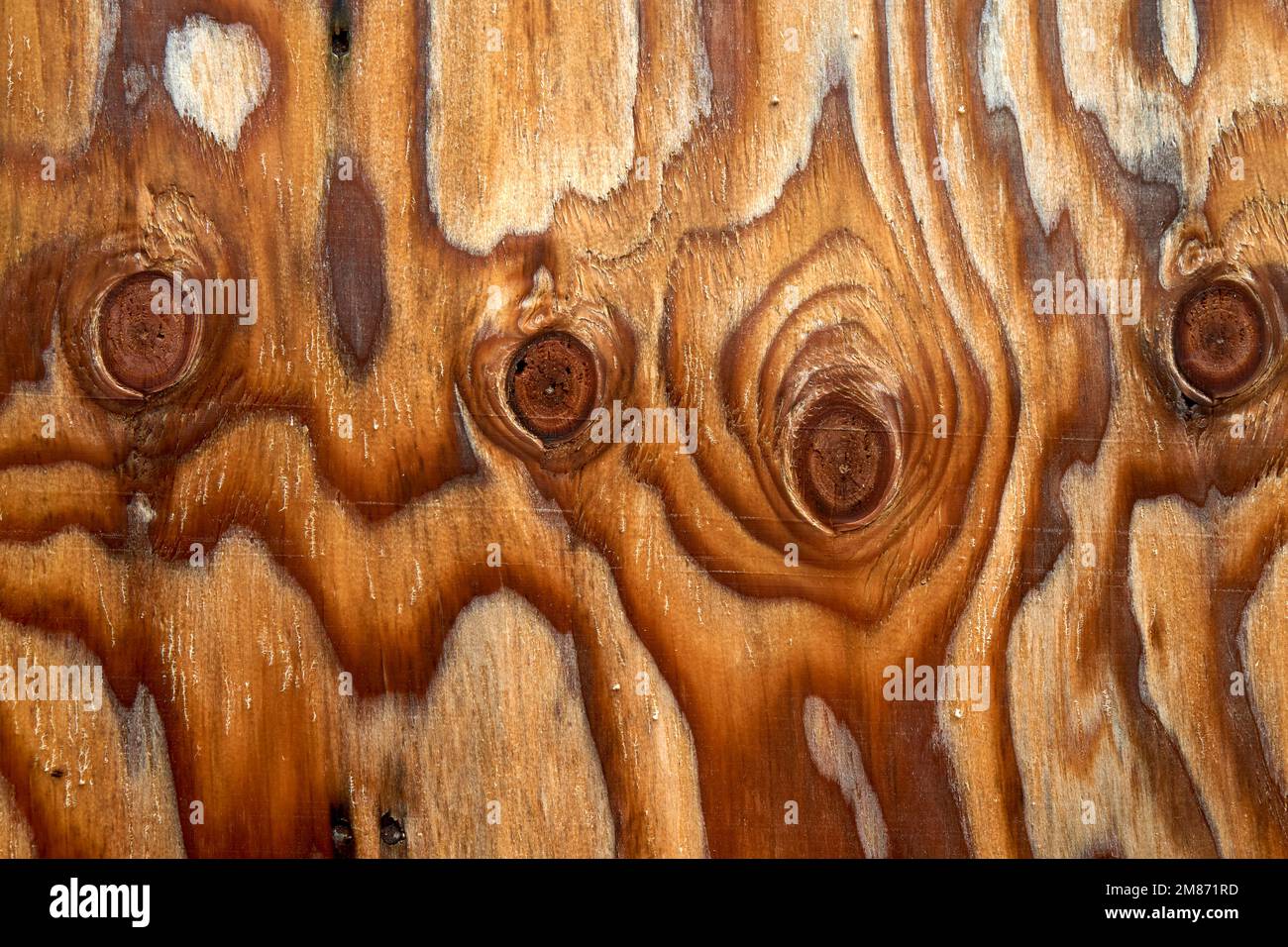 Nahaufnahme von Wulstmustern in Holzverkleidung Stockfoto