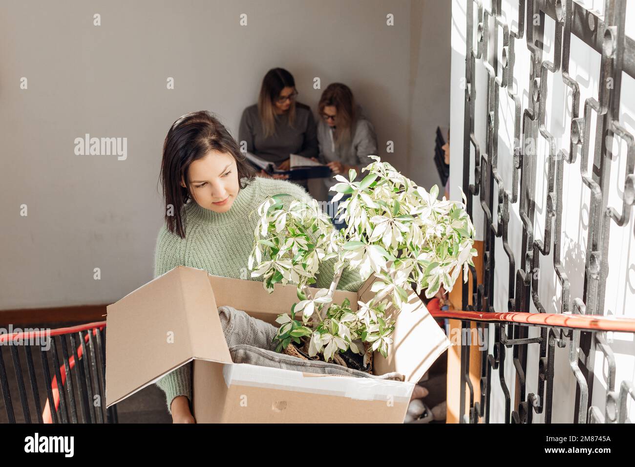 Müde, ernsthafte, vorsichtige Frauen tragen Gepäckkisten mit Pflanzen auf Treppen, überprüfen die Liste der Dinge während des Umzugs Stockfoto