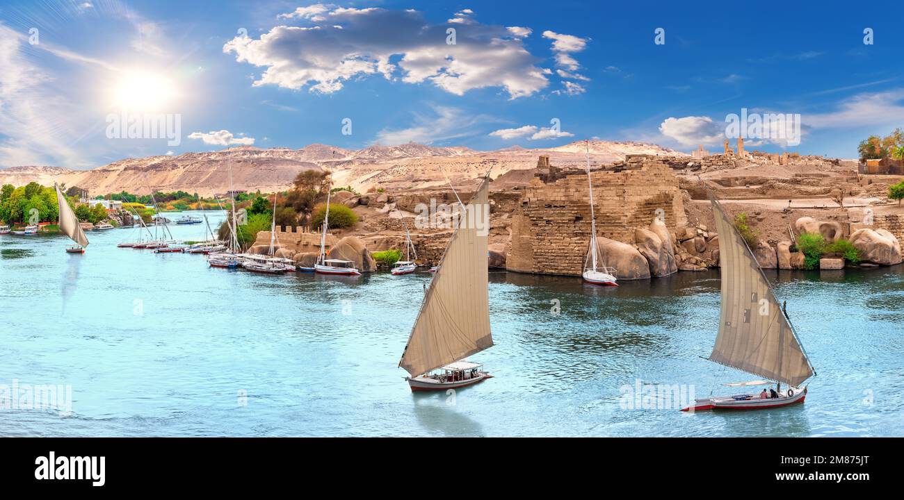 Berühmte Segelboote mit Nillandschaft, Panoramablick auf Assuan, Ägypten Stockfoto
