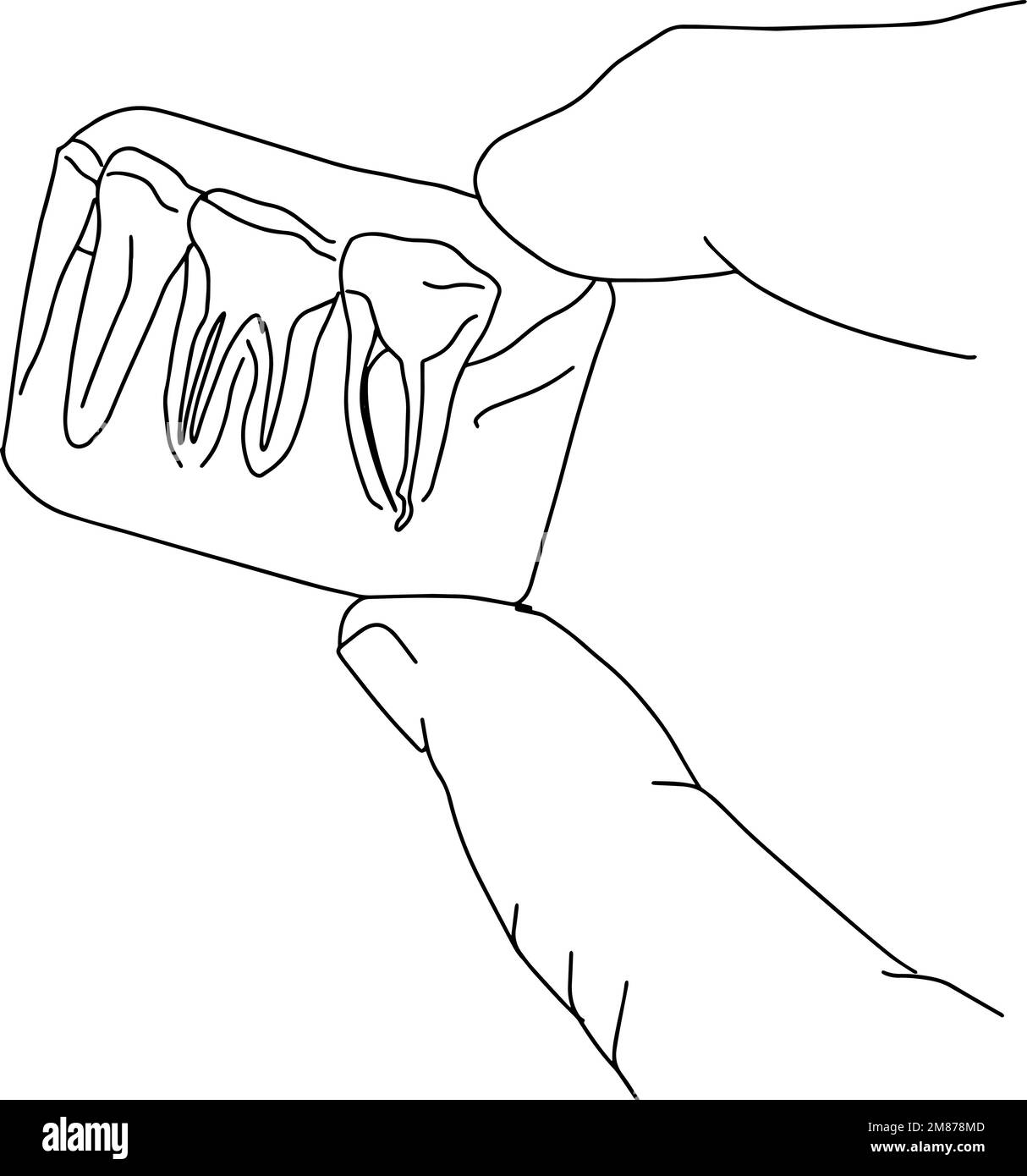 Handhaltezähne im Röntgenbild Stock Vektor