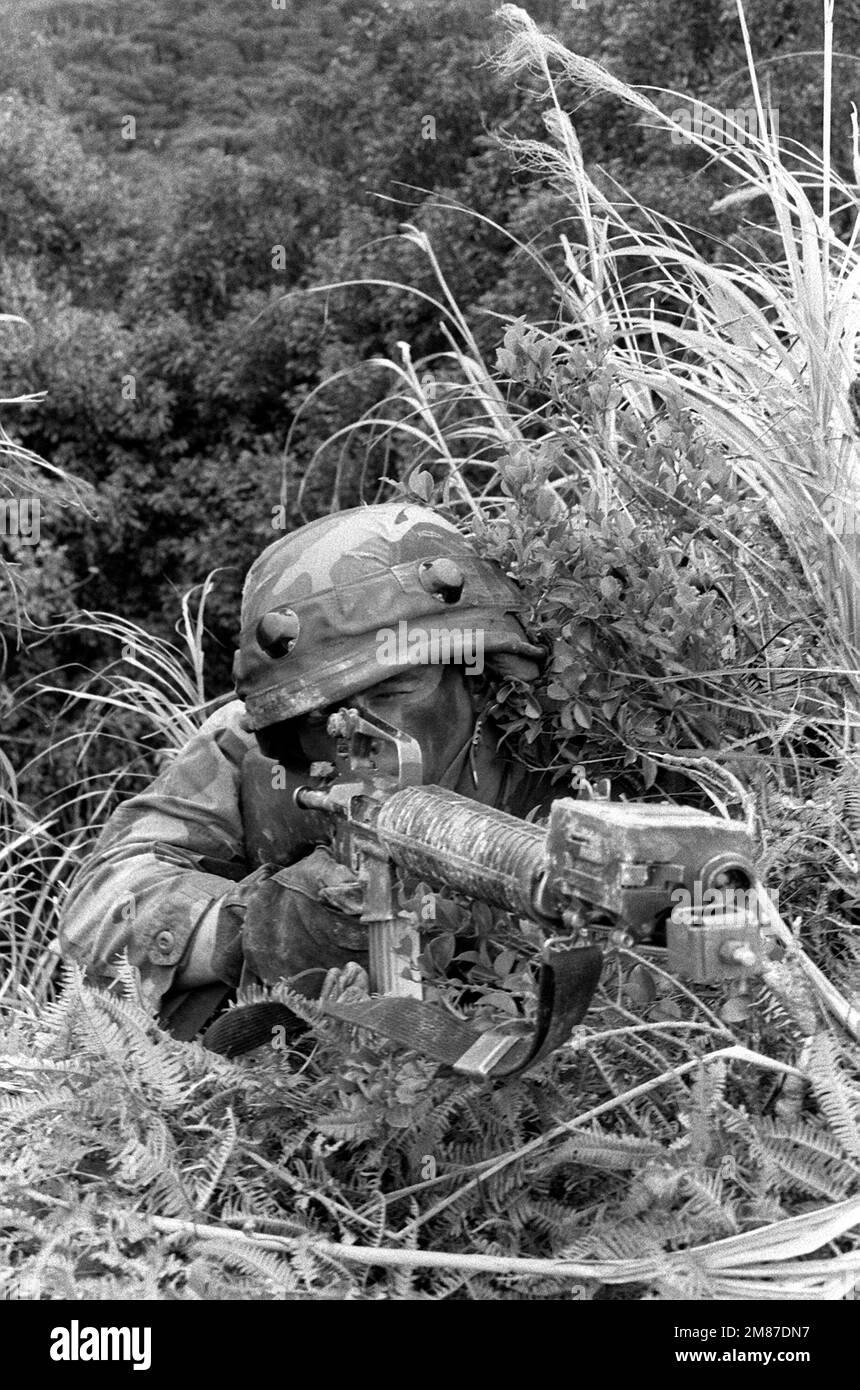 Ein hinter einem Pinsel verborgener Marine zielt mit seinem M-16A2-Gewehr während einer Feldübung im Northern Training Area (NTA). Der Helm und das Gewehr des Marine sind mit mehreren integrierten Laserantriebssystemen (MILES) ausgestattet. Staat: Okinawa Land: Japan (JPN) Stockfoto