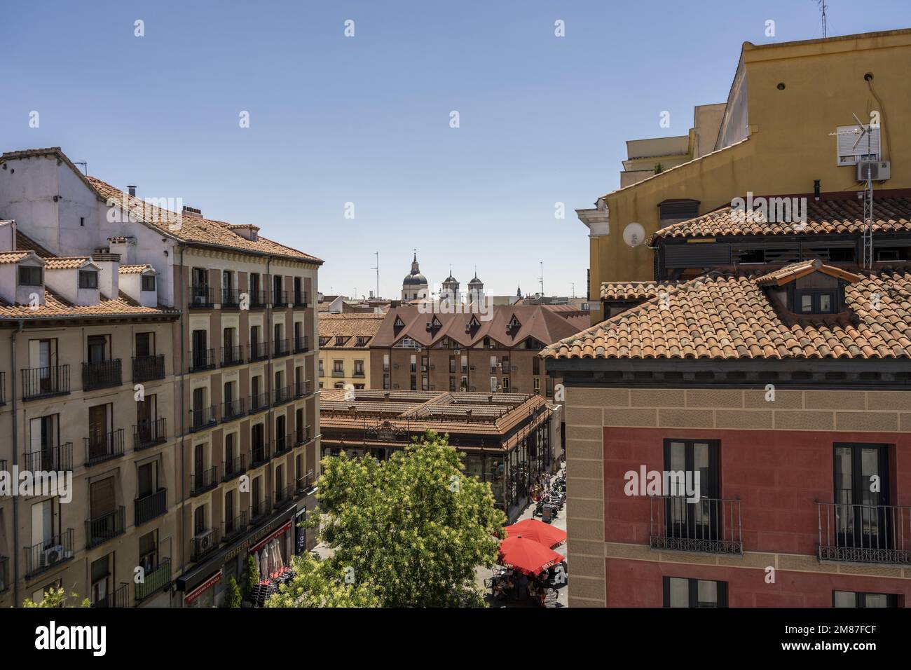 Dächer, Balkone, Bäume und Fassaden des Markts San Miguel und angrenzende Gebäude im Zentrum von Madrid Stockfoto