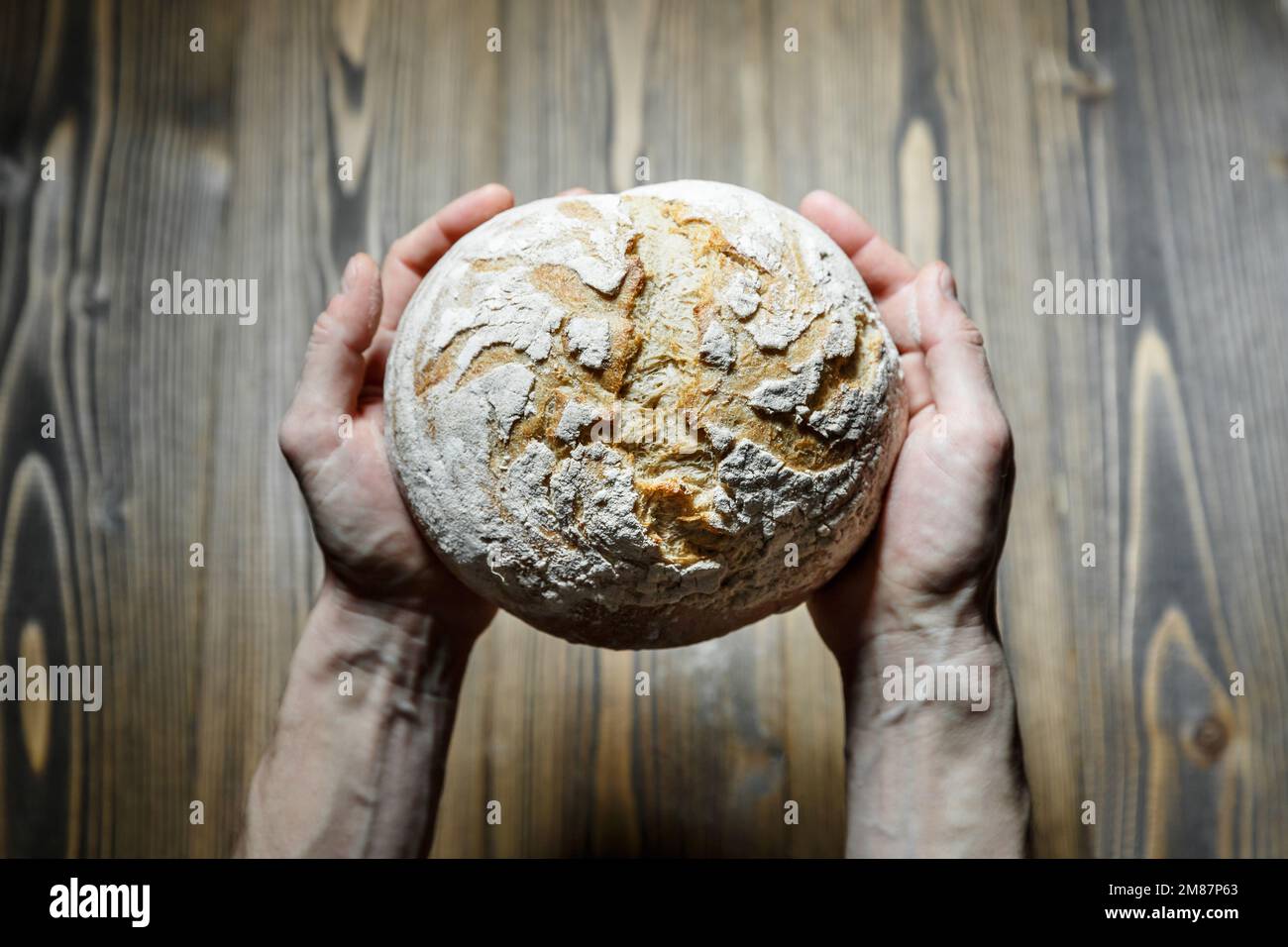 Männliche Hände halten frisch gebackenen Brotlaaf über Holzhintergrund. Konzept der Nahrungsmittelversorgung. Landwirtschaftlich-ländliche Produktion Stockfoto